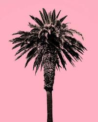 Palm Tree 1996 (Pink) | Obraz na stenu