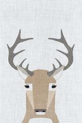 Whitetail Deer | Obraz na stenu