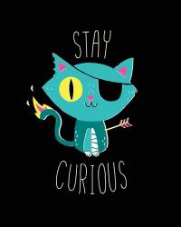 Stay Curious | Obraz na stenu