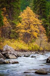 Autumn Across The River | Obraz na stenu