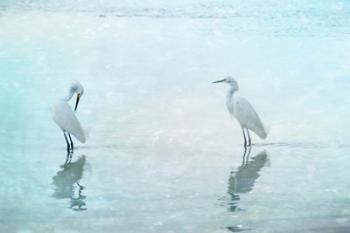 White Cranes | Obraz na stenu