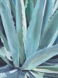 Blue Agave | Obraz na stenu