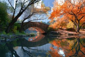 Gapstow Bridge, Fall | Obraz na stenu