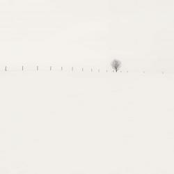 Frozen Landscape | Obraz na stenu