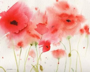 Red Poppies | Obraz na stenu