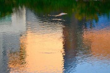 Reflection on the Iowa River No. 1 | Obraz na stenu