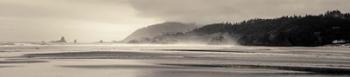 Cannon Beach No. 7 | Obraz na stenu