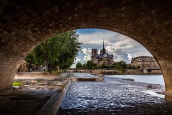 Chien et Notre Dame | Obraz na stenu