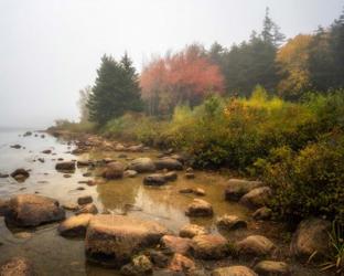 Misty Maine | Obraz na stenu