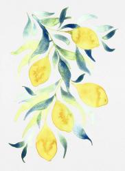 Watercolor Lemons | Obraz na stenu