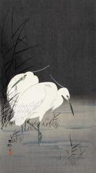 Two Egrets in the Reeds, 1900-1930 | Obraz na stenu