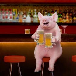 Beer Hog | Obraz na stenu