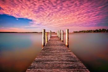 Pink Pier | Obraz na stenu