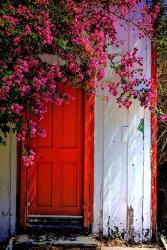 Red Door | Obraz na stenu