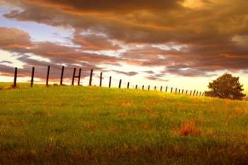 Fenceline, South Dakota | Obraz na stenu