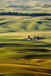 Palouse #27 | Obraz na stenu