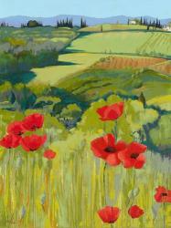 Field of Poppies | Obraz na stenu