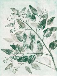 Eucalyptus 1 Green | Obraz na stenu