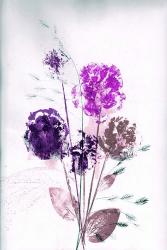 Bouquet Violet | Obraz na stenu