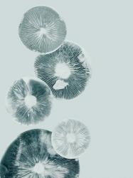 Mushroom Light Teal | Obraz na stenu