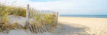 Sandy Neck (panorama) | Obraz na stenu