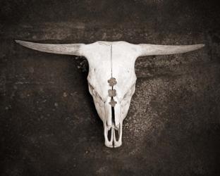 Sepia Cattle Skull | Obraz na stenu