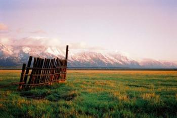 Fence In Jackson | Obraz na stenu