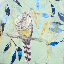 A Thoughtful Wattlebird | Obraz na stenu