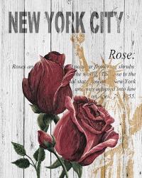 New York Roses | Obraz na stenu