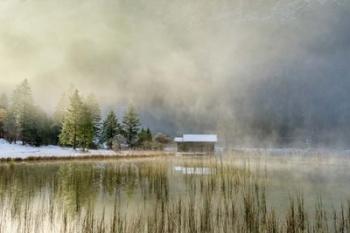 First Touch of Snow | Obraz na stenu