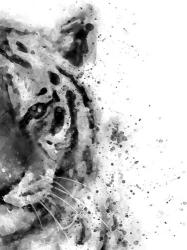 Tiger At Attention | Obraz na stenu