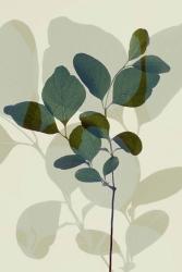 Green Leaves 7 | Obraz na stenu