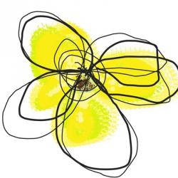 Yellow Petals Two | Obraz na stenu