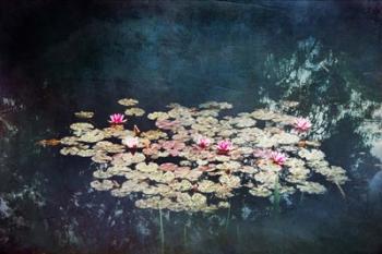 Waterlilies | Obraz na stenu