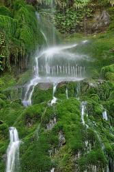 Moss Waterfall | Obraz na stenu