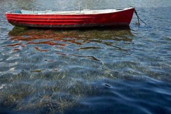 Red Boat | Obraz na stenu