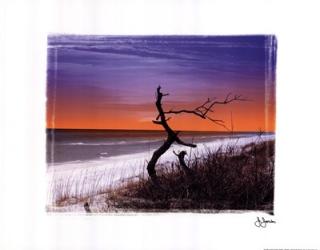 John jone's photography - Dusk Size 11x14 | Obraz na stenu