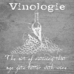 Vinologie - Age Gets Better Whitewashed | Obraz na stenu