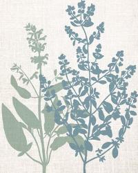 Linen Herbs 2 | Obraz na stenu