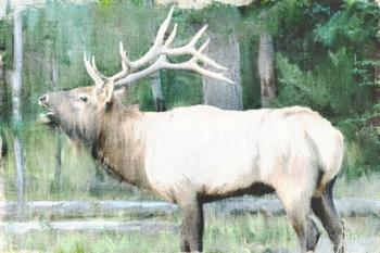 Linen Pressed Elk | Obraz na stenu