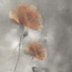 Two Poppies 1 | Obraz na stenu