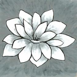 White Lotus | Obraz na stenu