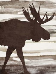 Moose 1 | Obraz na stenu