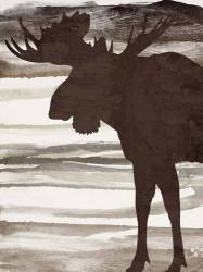 Moose 2 | Obraz na stenu