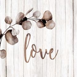 Love Branch | Obraz na stenu