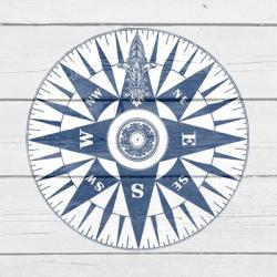 Blue Compass | Obraz na stenu