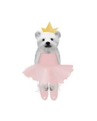 Full Ballet Baby Polar Bear | Obraz na stenu