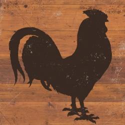 Harvest Rooster | Obraz na stenu