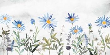 Blue Wildflowers | Obraz na stenu