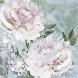 Whispering Peonies | Obraz na stenu